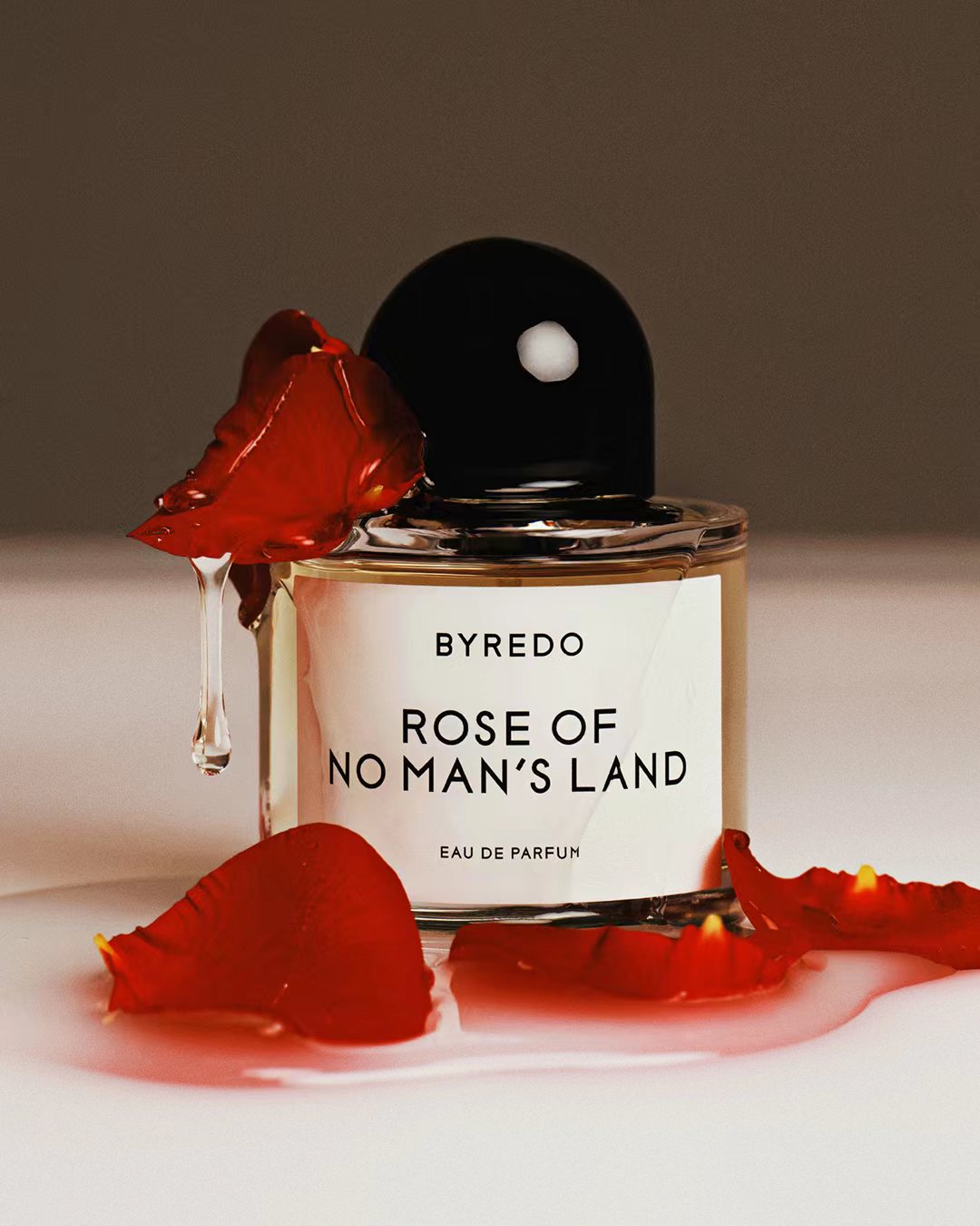 彼时玫瑰 此刻再绽 BYREDO 发布Rose of No Man’s Land无人之境全新创意视觉